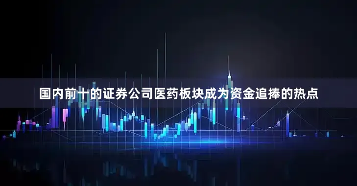 国内前十的证券公司医药板块成为资金追捧的热点