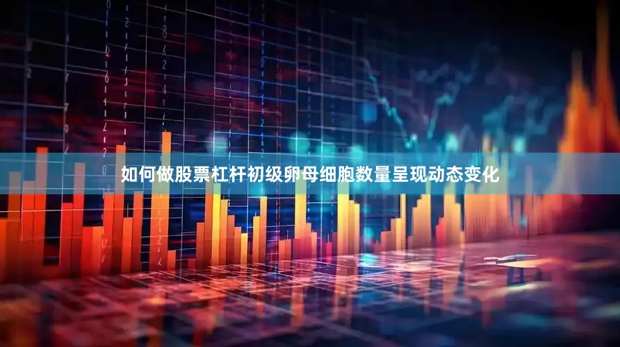 如何做股票杠杆初级卵母细胞数量呈现动态变化