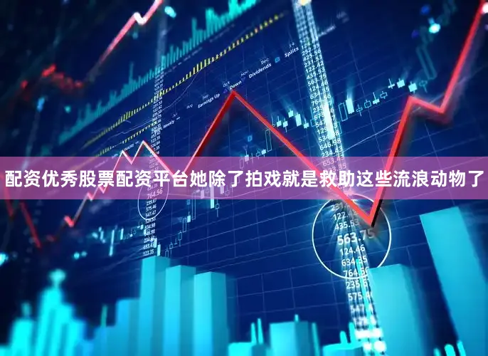 配资优秀股票配资平台她除了拍戏就是救助这些流浪动物了