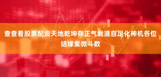 查查看股票配资天地乾坤存正气我道自足化神机各位结缘紫微斗数