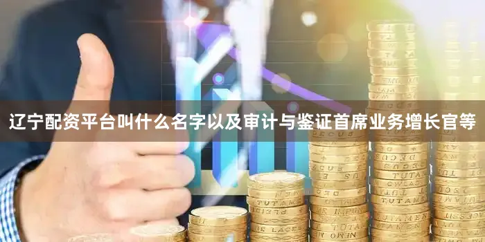 辽宁配资平台叫什么名字以及审计与鉴证首席业务增长官等