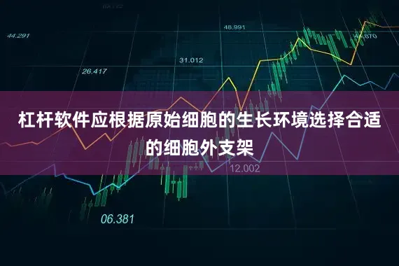 杠杆软件应根据原始细胞的生长环境选择合适的细胞外支架