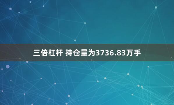 三倍杠杆 　　持仓量为3736.83万手
